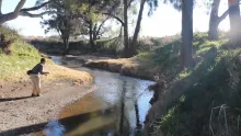 Video thumb for What Fly Fishing Means To Me - 5OnFly