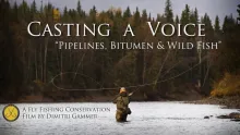 Video thumb for Casting a Voice - teaser