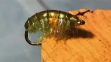 Video thumb for Simple Scud