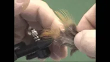 Video thumb for Chile Pepper Fly