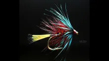 Video thumb for Claret Bumble