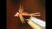 Video thumb for Little Red Bead Head Nymph