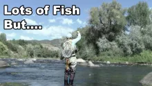 Video thumb for Animas River in Fall