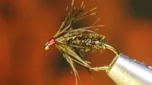 Video thumb for Starling Nymph