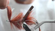 Video thumb for Croff's Nervous Néda