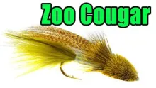 Video thumb for Zoo Cougar