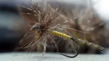 Video thumb for Jingler (LDO Variation)