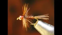 Video thumb for Fall Special