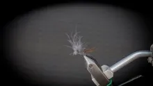 Video thumb for CDC Dominator Variation