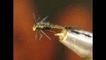 Video thumb for Snow Fly