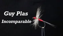 Video thumb for Incomparable