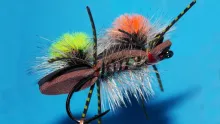 Video thumb for Chernobyl Ant