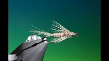 Video thumb for Wood Duck Nymph
