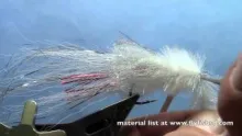 Video thumb for Murdich Minnow