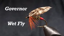 Video thumb for Governor