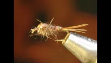 Video thumb for Flashback Hare's Ear Nymph
