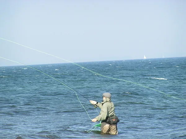 User submitted picture: Nice cast!
Camera: Min...