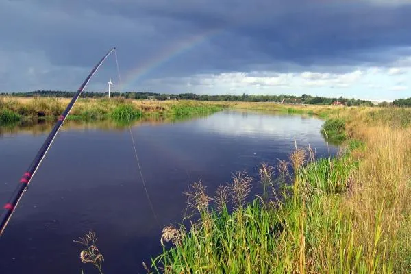 User submitted picture: SkjernÃ
a nice salmonrive...